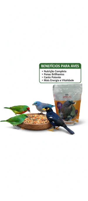 Ração Long Life Frutas e insetos Trinca-Ferro, Sanhaço, Mainá e Tiê 500g