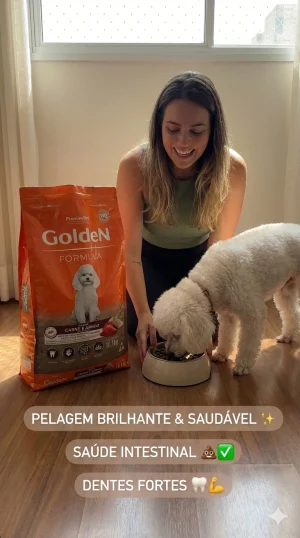 Ração Golden Fórmula Carne para Cães pequenos 10,1kg